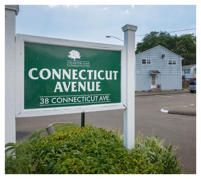 The quaint sign for Connecticut Avenue sits among green plants and reads Connecticut Avenue, 38 Connecticut Ave.